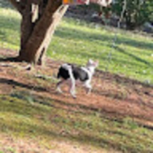 Meet your Posher, Jess